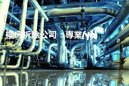 樓房拆除公司：專業(yè)高效，安全拆除專家